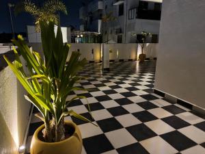 a plant in a pot on a black and white checkered floor at Le Poshe Suite - TIE Hotels in Pondicherry