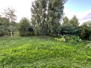 a field of grass with a tree and some bushes at Bedugnės Namelis in Vilnius