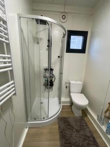a bathroom with a shower and a toilet at Bedugnės Namelis in Vilnius