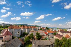a cityscape of a town with buildings at Mountain View "Green Apartment" in Mukacheve