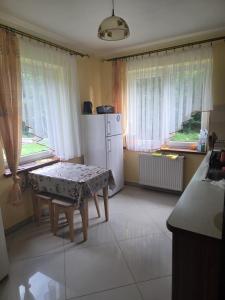 a kitchen with a table and a refrigerator and windows at Gościnne Pieniny Pensjonat in Jaworki