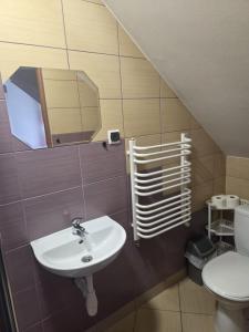 a bathroom with a sink and a toilet at Gościnne Pieniny Pensjonat in Jaworki