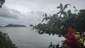 a view of a body of water with a tree at EnDanni homestay in Phuket