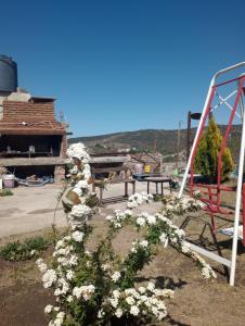 a bunch of white flowers next to a swing at Cerro de sol in Salsipuedes