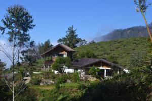 Foto dalla galleria di Hill Safari - Tea Estate Villa a Ohiya