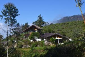 Gallery image of Hill Safari - Tea Estate Villa in Ohiya