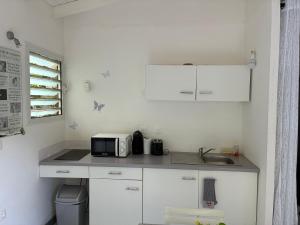a kitchen with a counter with a microwave and a sink at Éclat doasis in Vieux-Habitants