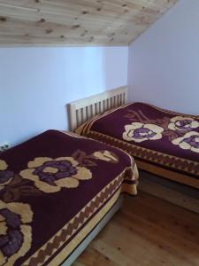 two beds sitting next to each other in a room at Cozy Mountain Chalet Bakhmaro in Chʼkhakoura