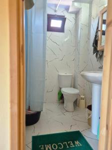a bathroom with a toilet and a sink at Cozy Mountain Chalet Bakhmaro in Chʼkhakoura