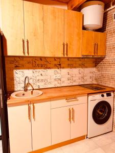 a kitchen with a sink and a washing machine at Alpase Resort in Didi Khalebi
