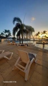 a couple of chairs on a beach with a palm tree at Flamboyant Studio avec Piscine et Parking in Saint Martin