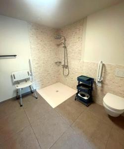 a bathroom with a shower and a toilet and a chair at Maison Campagnard in Voeren +13 photos