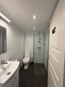 a bathroom with a toilet and a shower and a sink at Sukkertoppen Apartment in Ålesund +16 photos
