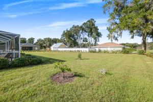 a green yard with a small tree in the middle at Withlacoochee Trail Getaway - Private Pool - 3bedrooms in Inverness