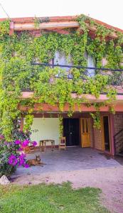 a cat laying on the ground in front of a building at Lovely garden flat with stunning mountain views in Alcocer +8 photos