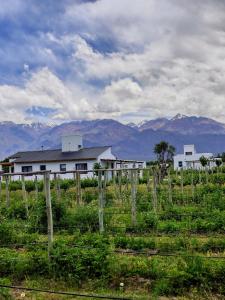 a house in a field with mountains in the background at Finca Rosablanca Casa Jazmin in Vista Flores