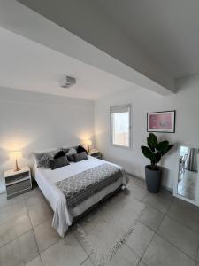 a white bedroom with a bed and a potted plant at Monoambiente Céntrico único in Puerto Madryn