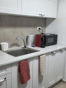 a kitchen counter with a sink and a microwave at מקום למשפחה in Kefar Tavor