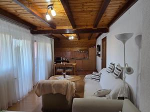 a living room with a couch and a table at Apartment Nina in Drežnik Grad