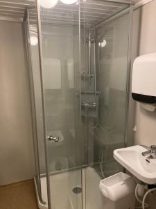 a bathroom with a shower and a toilet and a sink at Log cabin in rural surroundings in Stjoerdal +30 photos