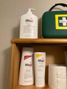 three bottles of sunscreen and toilet paper on a shelf at Log cabin in rural surroundings in Stjoerdal