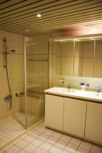 a bathroom with a sink and a shower at Ambassador Suites Antwerp in Antwerp