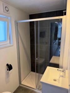 a glass shower in a bathroom with a sink at Luxe Chalet San Marco in Giethoorn +13 photos