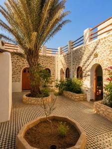 a courtyard with a palm tree and a building at SIDI KaouKI PERLA in Sidi Kaouki