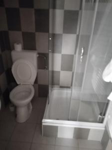 a bathroom with a toilet and a shower at Nimród vendégház in Mőcsény