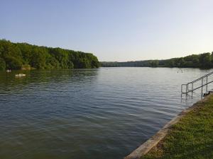 a lake with a dock in the middle of it at Nimród vendégház in Mőcsény +7 photos