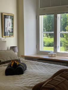 a bedroom with two beds and two windows at Hof Podis Pootsi veinimõis in Pootsi +64 photos