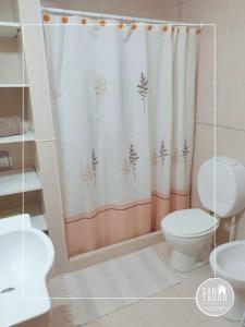 a bathroom with a toilet and a shower curtain at SAN TAURO VIEDMA in Viedma +2 photos
