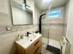 a bathroom with a sink and a shower at Le petit sauna de Sarah in Voiron