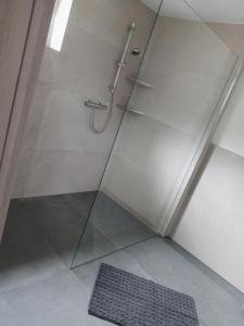 a shower with a glass door and a rug at Ferienwohnung Otto in Kleinich