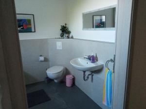 a bathroom with a sink and a toilet at Ferienwohnung Otto in Kleinich