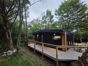 a black cabin with a deck in the woods at Wild Crib Avrig in Avrig