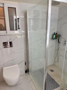 a bathroom with a toilet and a glass shower at Piraeus new hotel in Piraeus +15 photos
