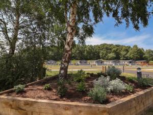 a flower bed around a tree in a park at The Oaks 2 Bedrooms in Northwich