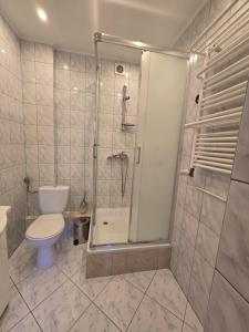 a bathroom with a shower with a toilet and a shower at Willa Carcassonne in Paczków