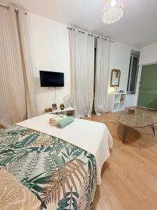 a bedroom with a bed and a tv and a table at Studio le «Victor Hugo» , hyper centre ville in Vienne