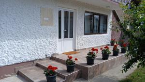 a row of potted flowers on the steps of a house at Privatni smeštaj Nanica in Mataruška Banja