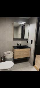 a bathroom with a sink and a toilet and a mirror at The Eikorn House in Skien