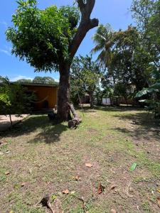 a tree in a field with a trailer under it at Hostal Sol Naciente in Rivas