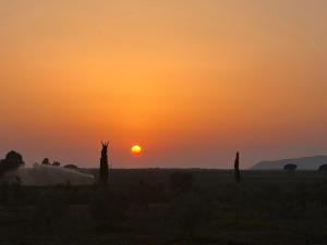 a sunset in the desert with the sun setting at Casale Oliveta & Ristorante in Orbetello