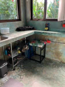 a kitchen counter with a table and a sink at Green TinyHome 1 in Uvita
