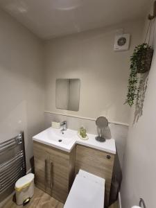 a bathroom with a sink and a toilet at Clarke Cottage Guest House in Dunfermline