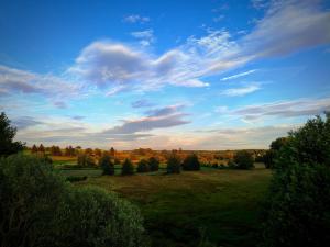 a field with trees and a blue sky with clouds at Villa Serenita in Montenau