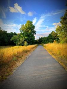 an empty road in the middle of a field at Villa Serenita in Montenau