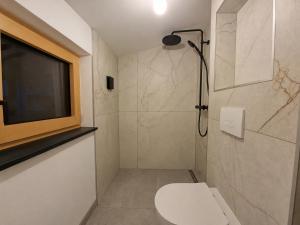 a bathroom with a toilet and a shower at Eiflia- Im Ourtal in Burg-Reuland