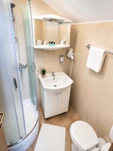 a bathroom with a shower toilet and a sink at Guest House Kovačević in Korenica +25 photos